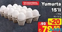 YUMURTA 15'Lİ L BOY 63-72 G fiyat ve kampanya bilgisi